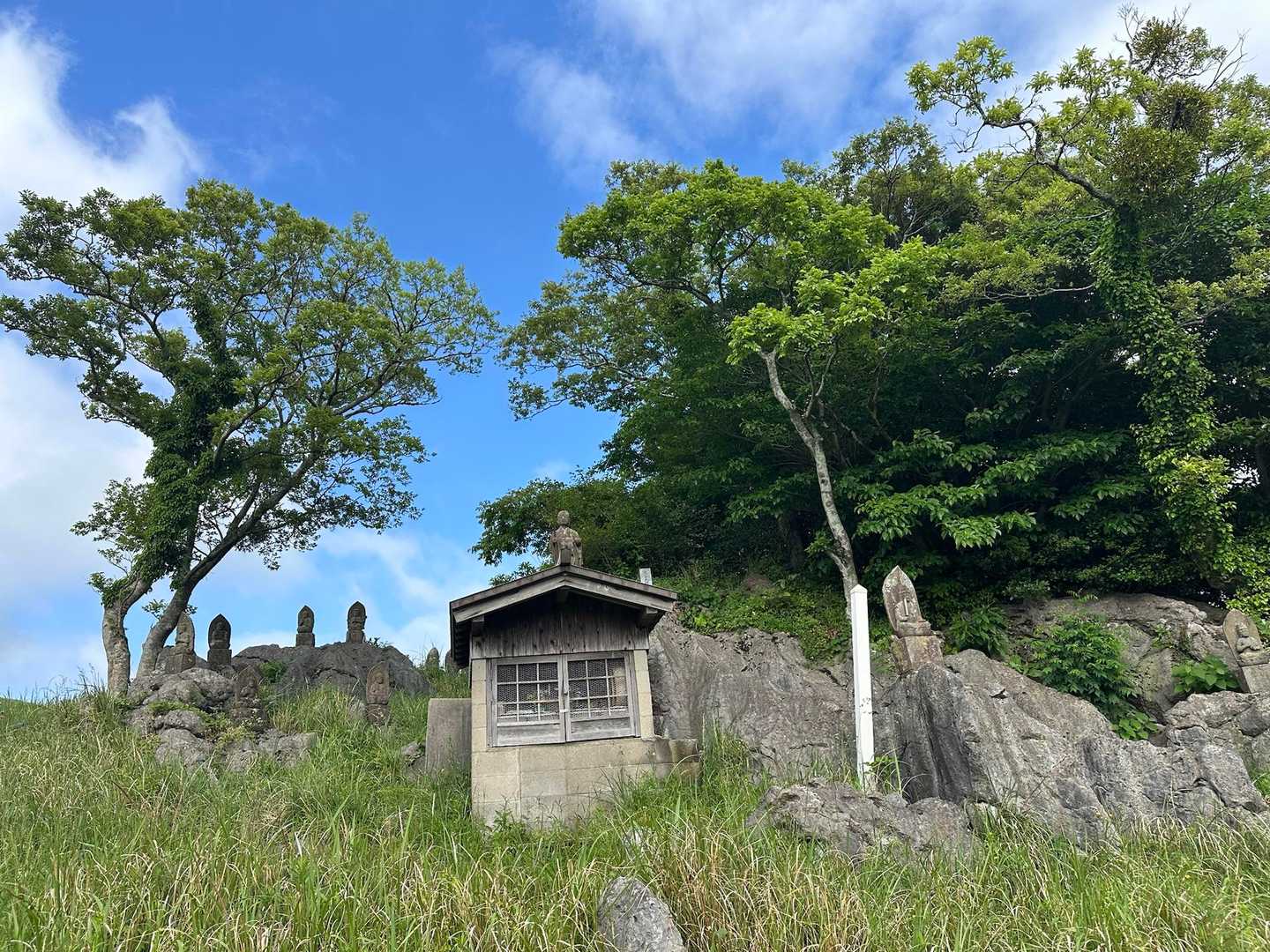 吹上峠-大平山-四方台-貫山 周回コースの写真