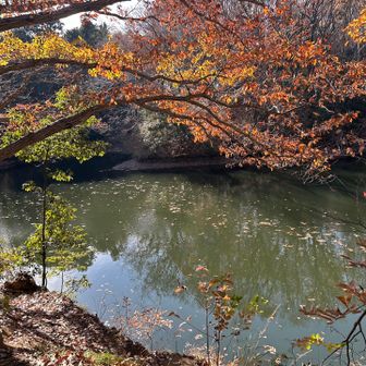 震生湖に寄り道