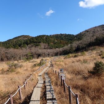 冬枯れの葦毛湿原
空は青いがここでゆっくりしているうちに雲がかかってきた。