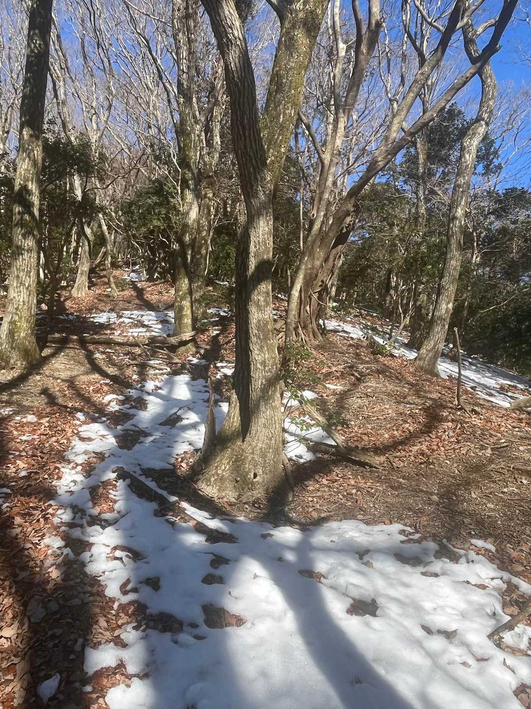 雪ふえてきた

座って少し休憩🥯

木々の間から鈴鹿の山がみえるよ