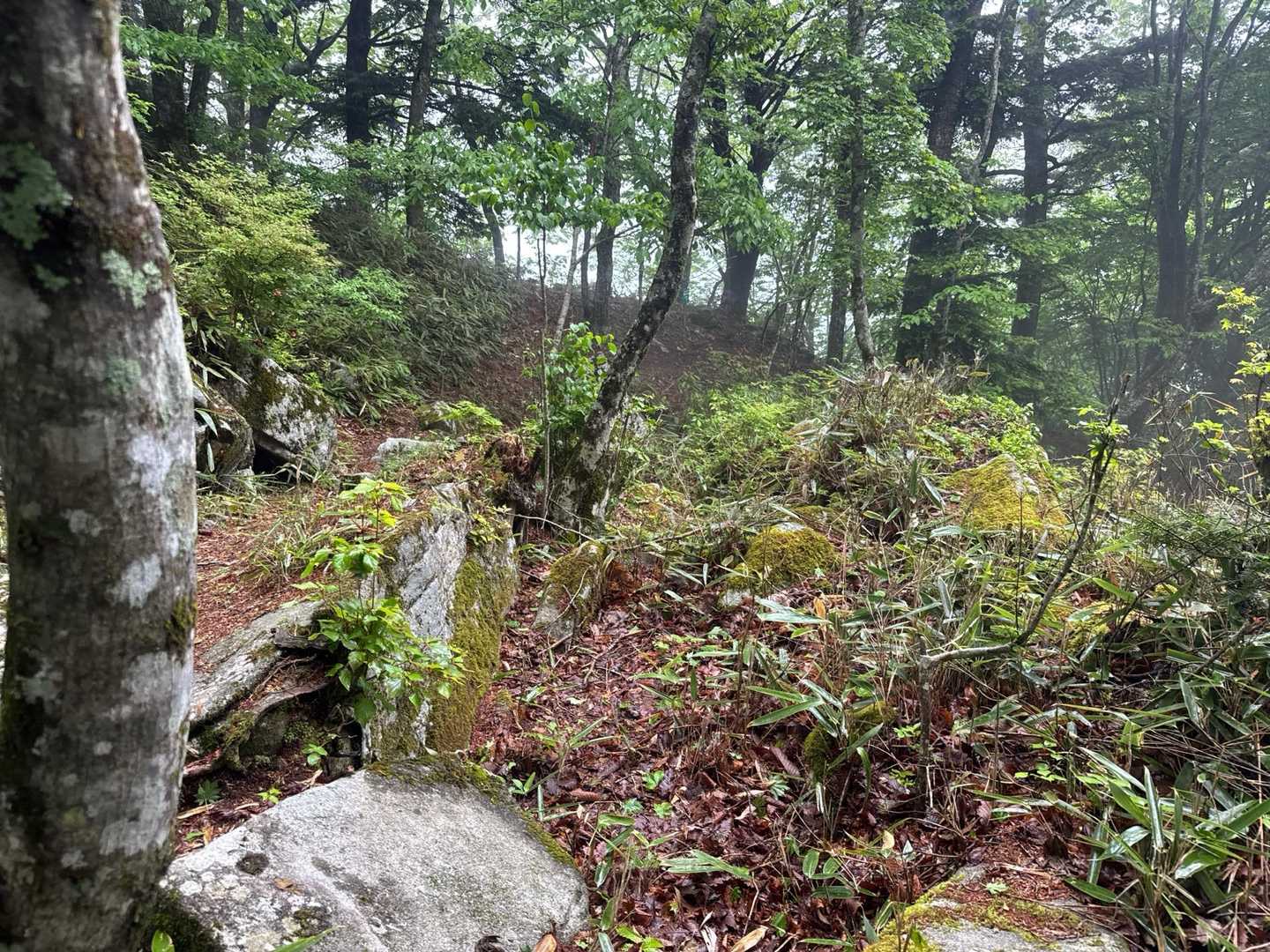 傘山登山道入口-傘山 周回コースの写真