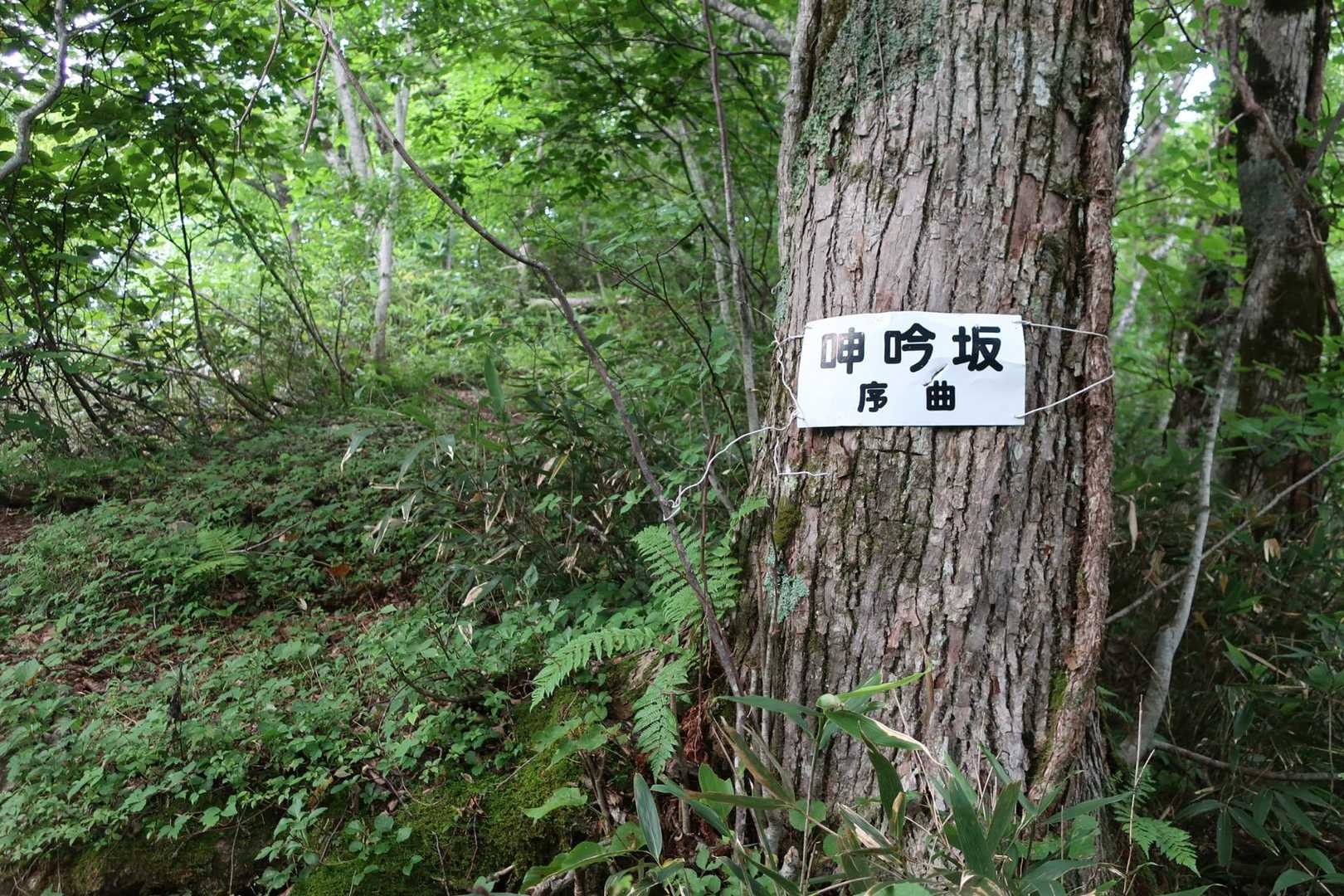 呻吟坂　シンギンって漢字を初めてみた