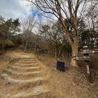 あいにくの曇りスタート
☀️晴れ予報はどこいった！？