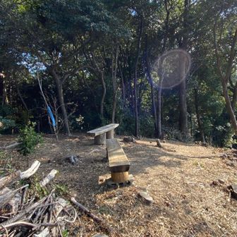 ちょい先にベンチあり