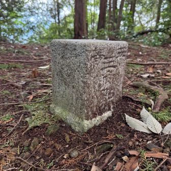 魚ノ子山三角点🔺