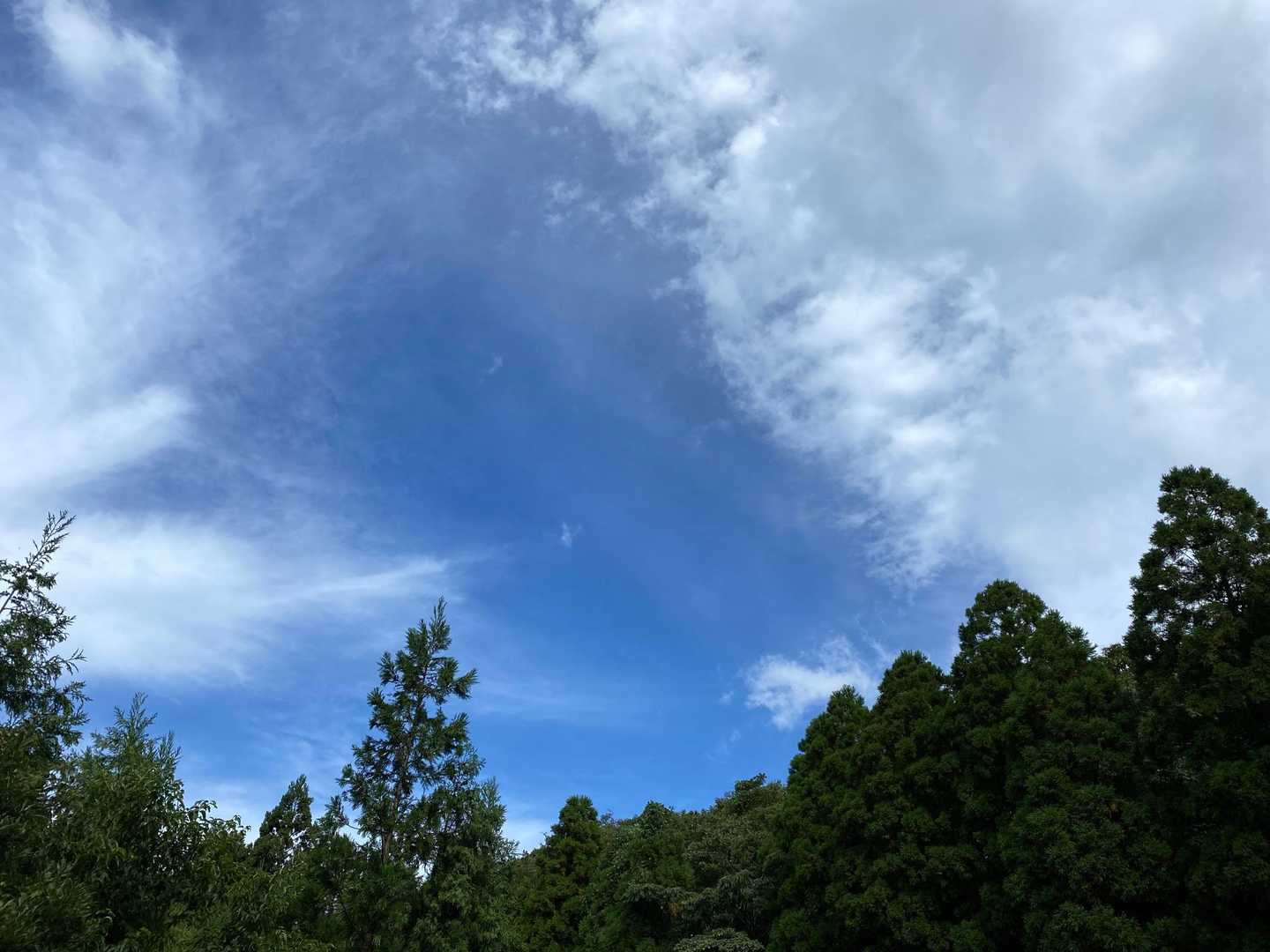 今日の空