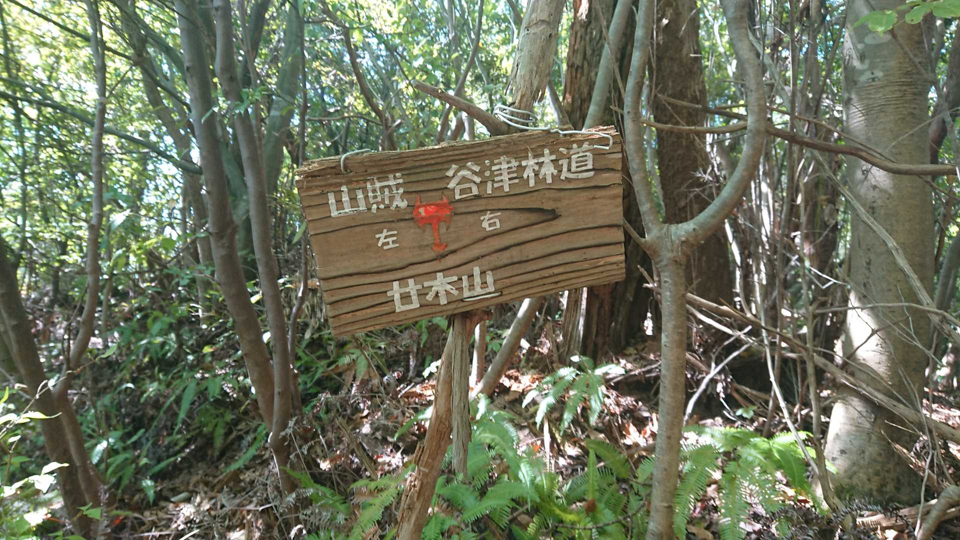 分岐に降りて来ました
山賊に戻ります