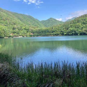 四尾連湖では天気が良く、気持ちがいい。