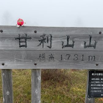 一つ目のピーク🙌