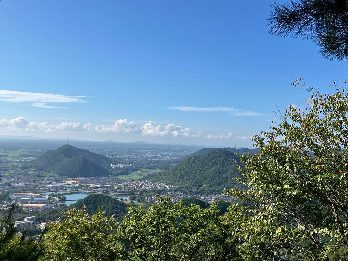 矢筈山登山口-矢筈山 往復コースの写真