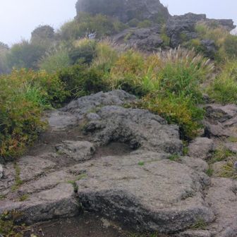 小雨の平日。山頂は貸し切り