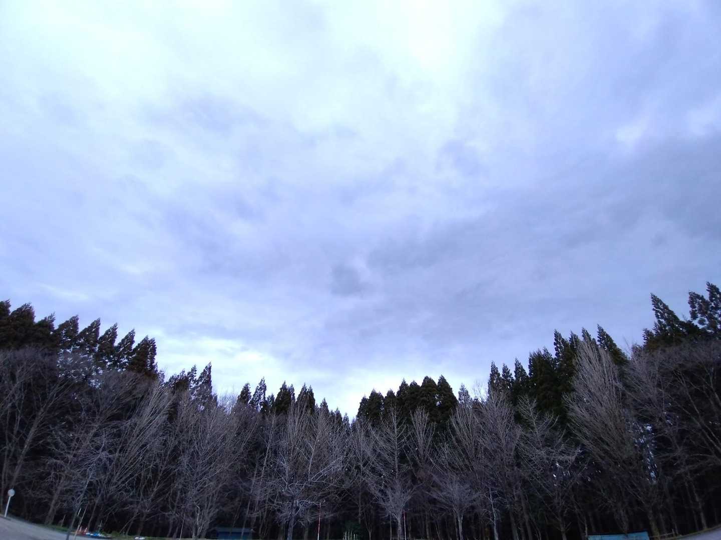 無事に下山出きました✨
鵯山さん、
天狗山👺さん、
ありがとうございました(⁠ ⁠ꈍ⁠ᴗ⁠ꈍ⁠)