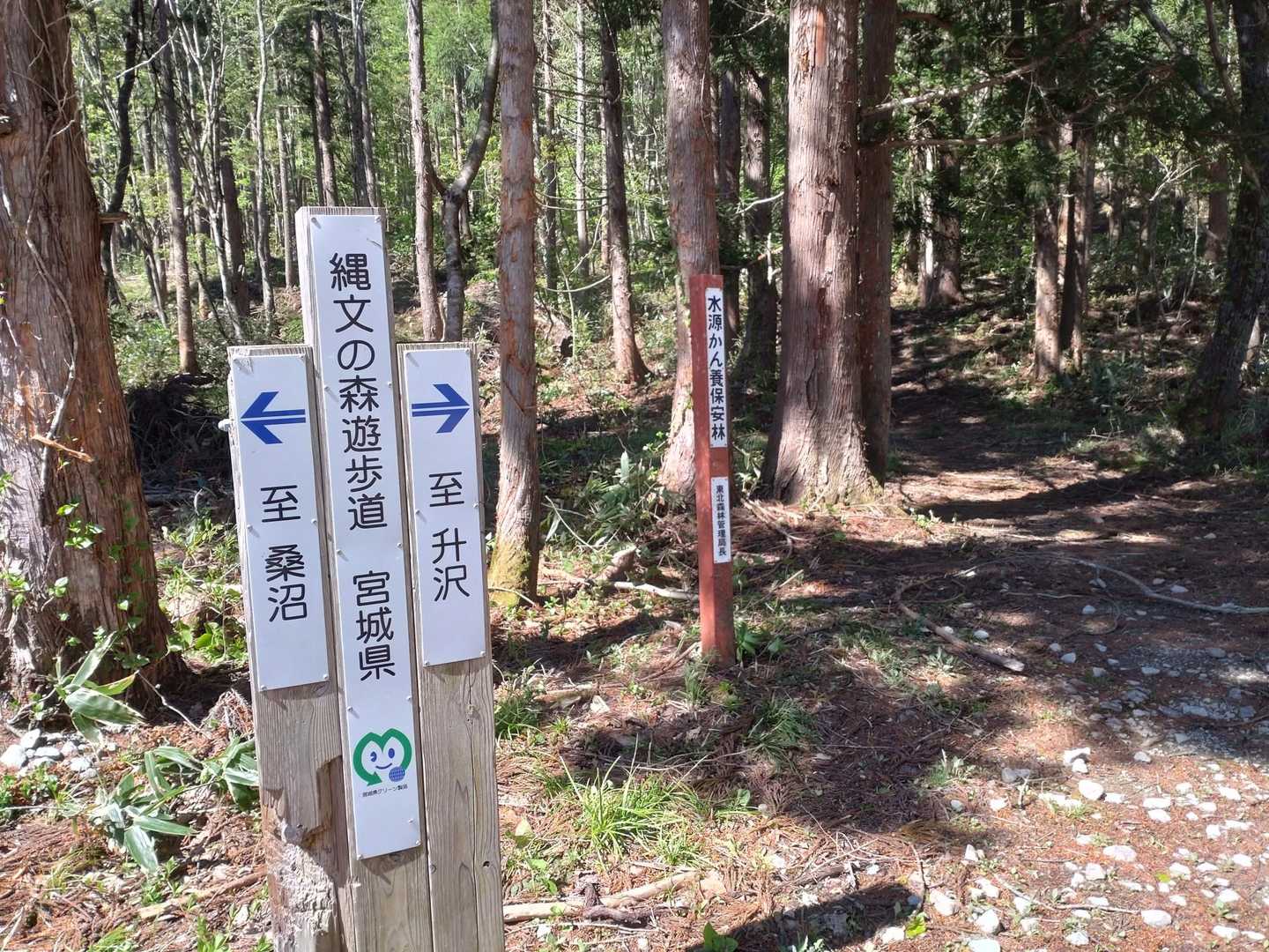 ここから大倉山へ