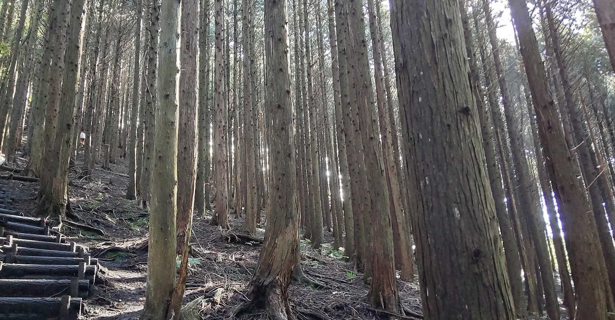 綺麗です☺️