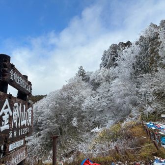 tumami