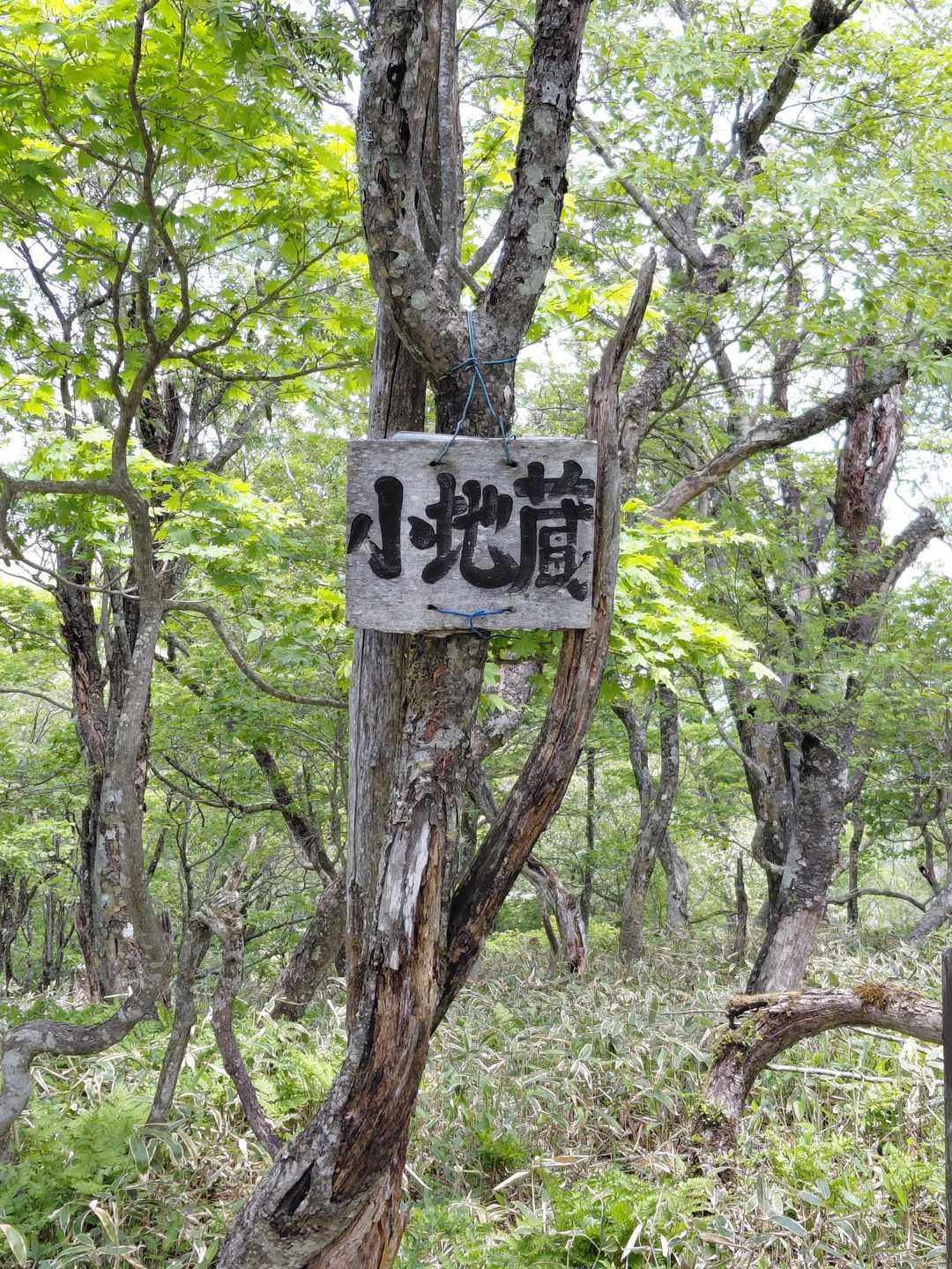 小地蔵山頂