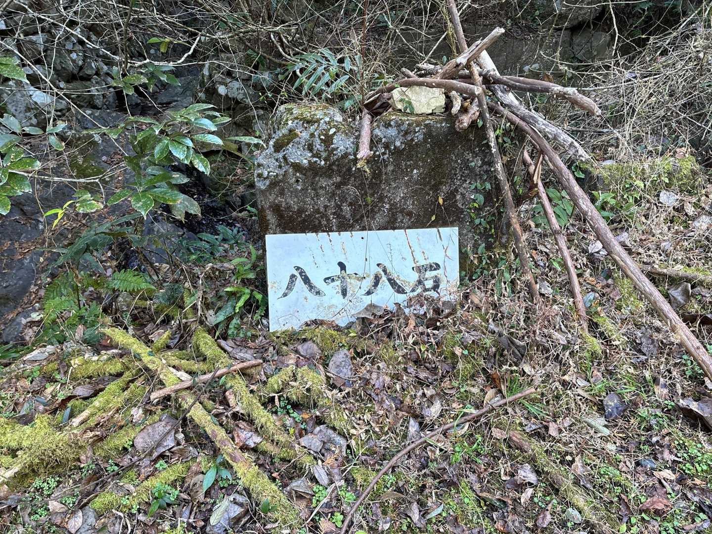 石谷山 往復コースの写真