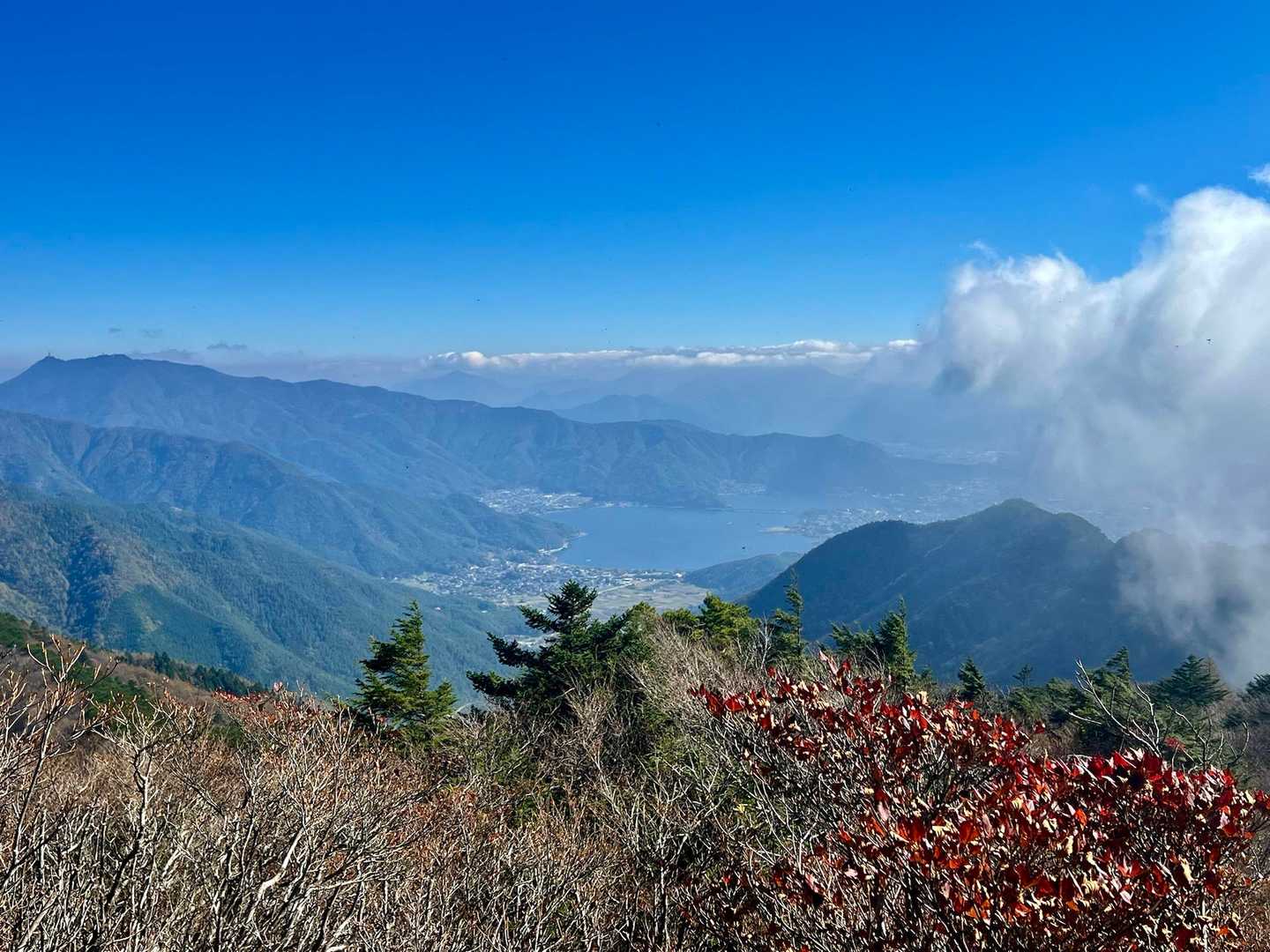 大石峠-大石峰山-金堀山-節刀ヶ岳 往復コースの写真