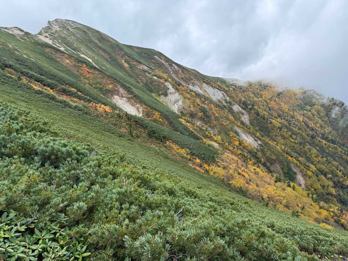 柏原新道登山口-爺ヶ岳 往復コースの写真