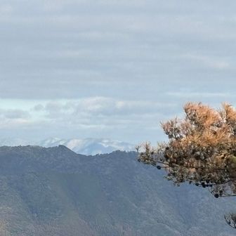 山側では雪山も遠望。