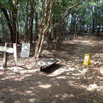普門寺峠を越えて進む。
この北の望寺岩あたりでは市から委託を受けたシンユー造園が歩道整備を行っていた。ていねいな作業がありがたい。