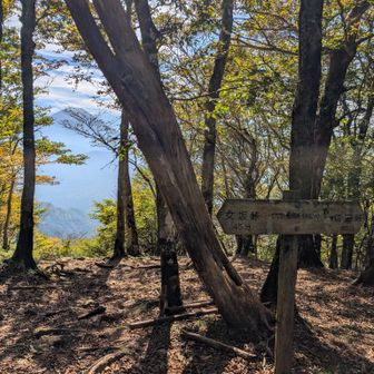 三方分山山頂