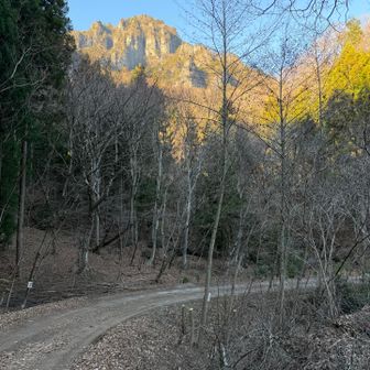 最後は林道に出て間も無くゴール🏁