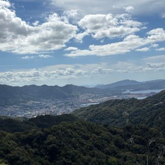 呉湾を一望できる
なんか食べ物持ってくればよかった
が日陰がないので長くはいられない