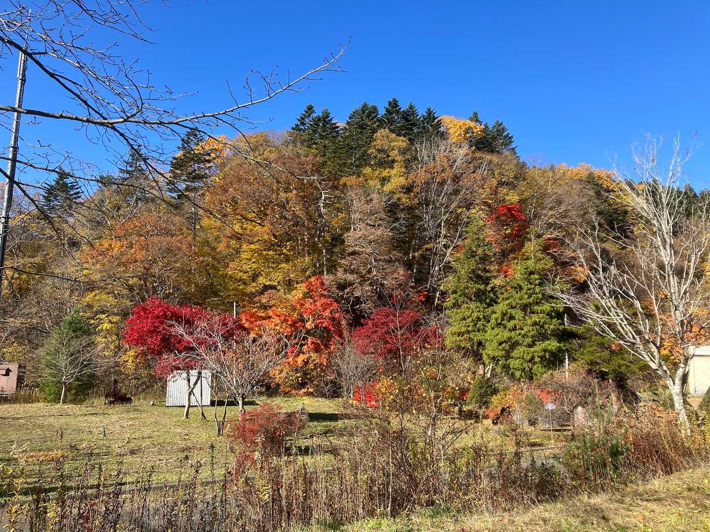 馬追温泉に戻って長官山へスタートします↗️
旧温泉敷地内の庭が綺麗です✨