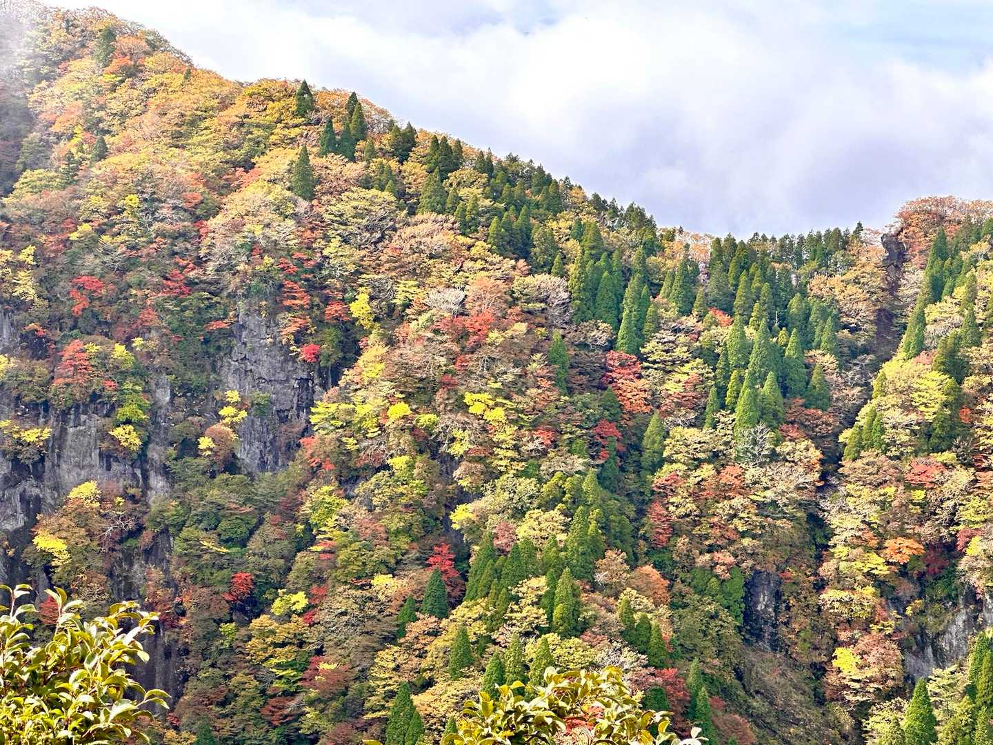 秋満喫🍂