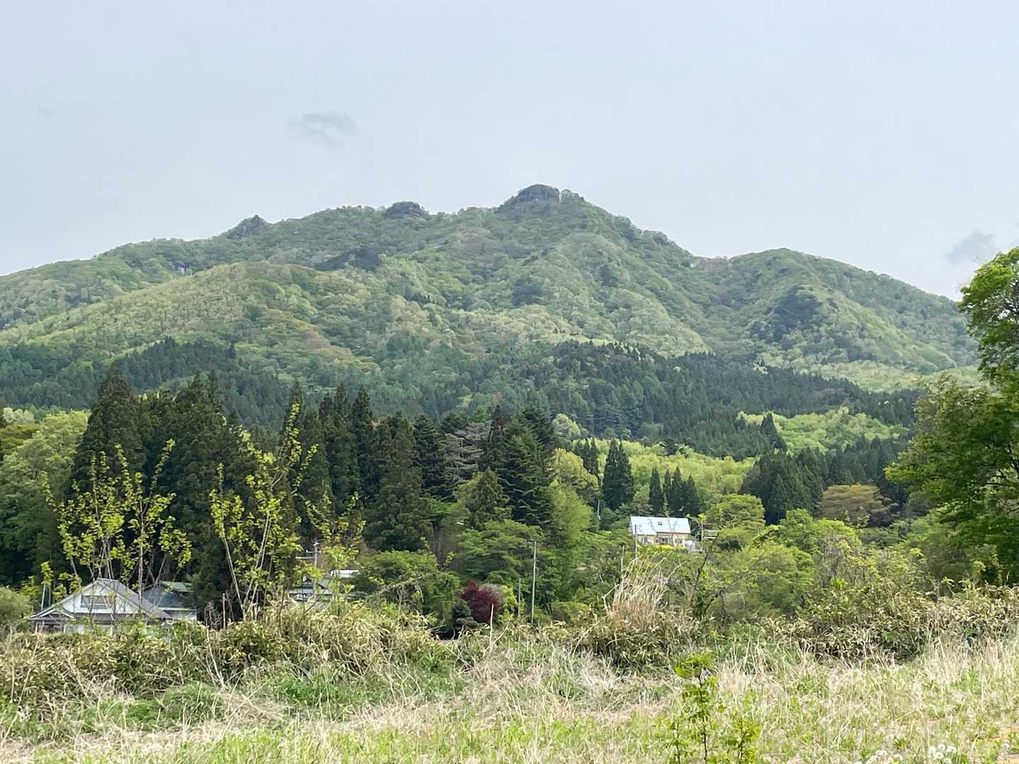 鎌倉岳萩平登山口-鎌倉岳 縦走コースの写真