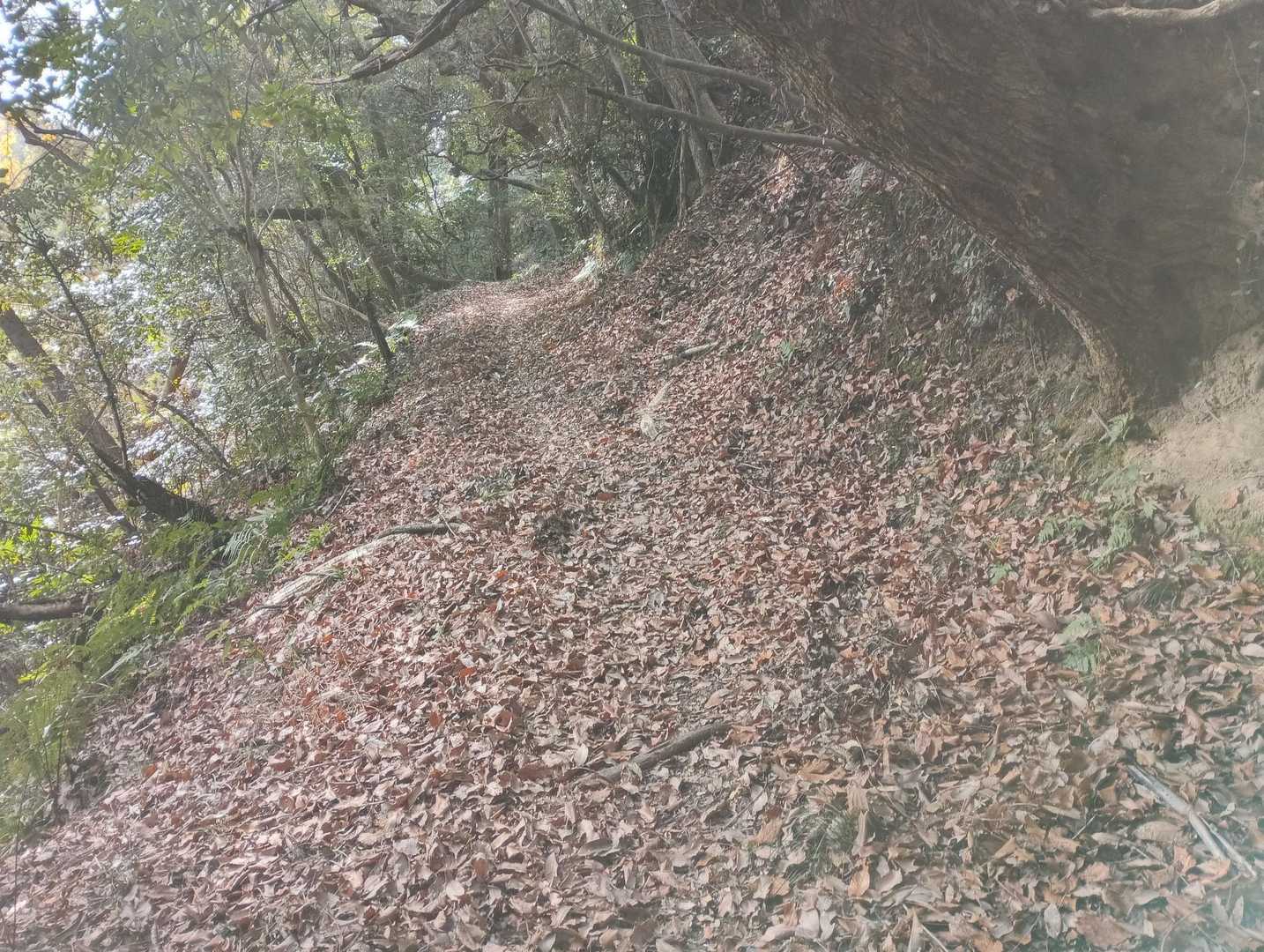 良き道が続く。