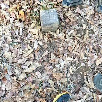 かなり滑る道が続く
慎重に..

スポルティバのトレランモデル
枯れ葉多くて不安定な道続いたが、大きな滑りなどなくよかった