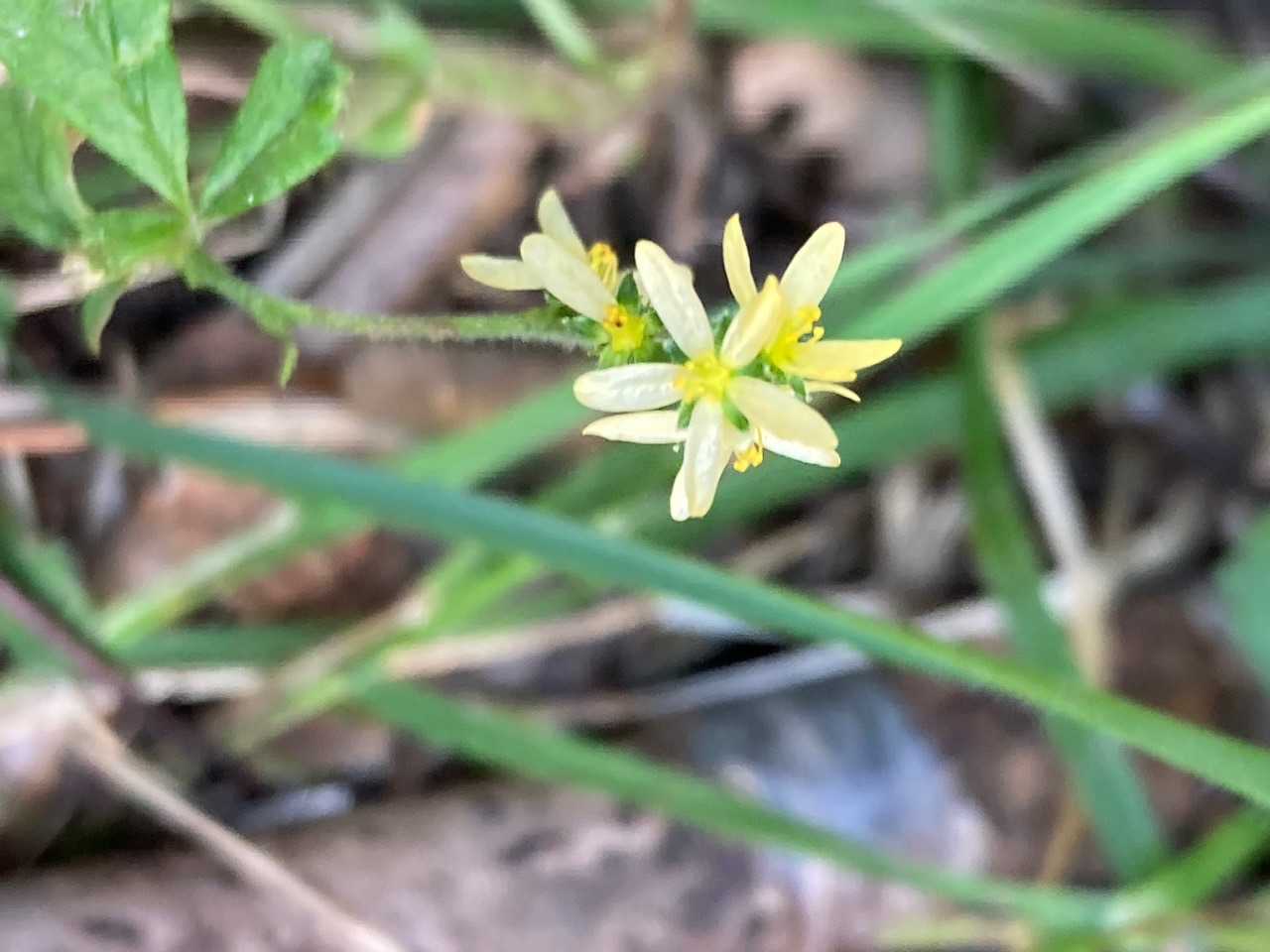 ⁉️
