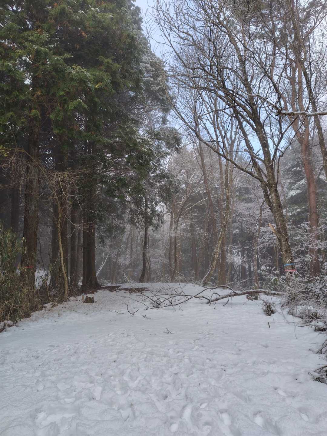 残雪多し周回断念