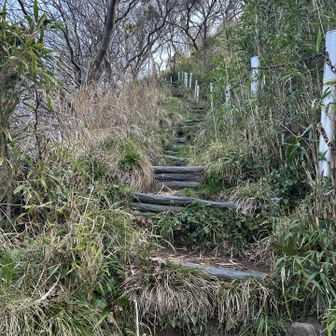 心拍数が上がります