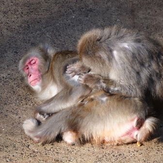 日溜まりでまったり