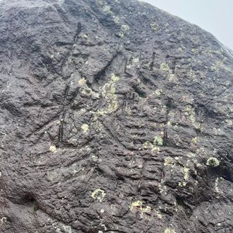 昔の登頂記念ですかね