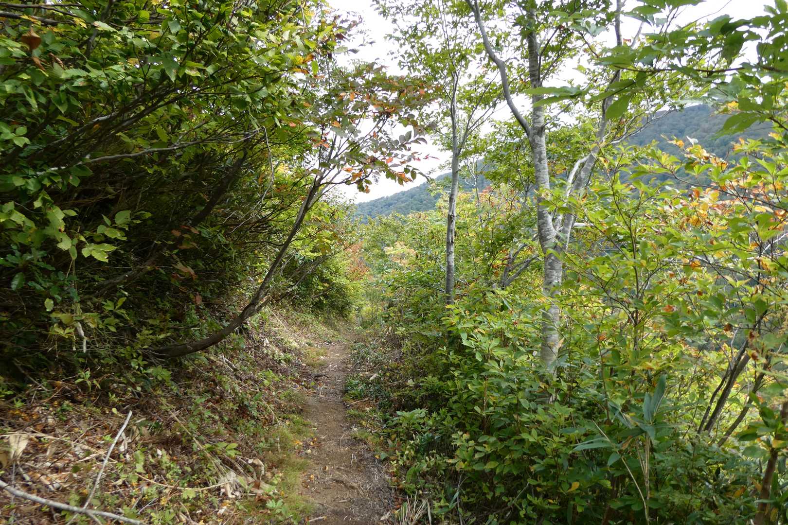 山伏岳 往復コースの写真