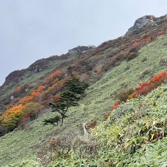 さらに登ると紅葉の先に岩場が、今度こそちち山だ