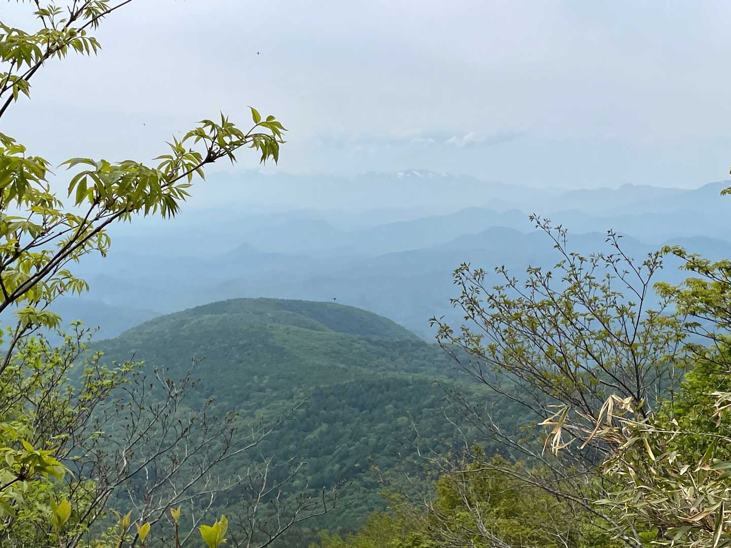 黒鼻山登山口-泉ヶ岳 縦走コースの写真