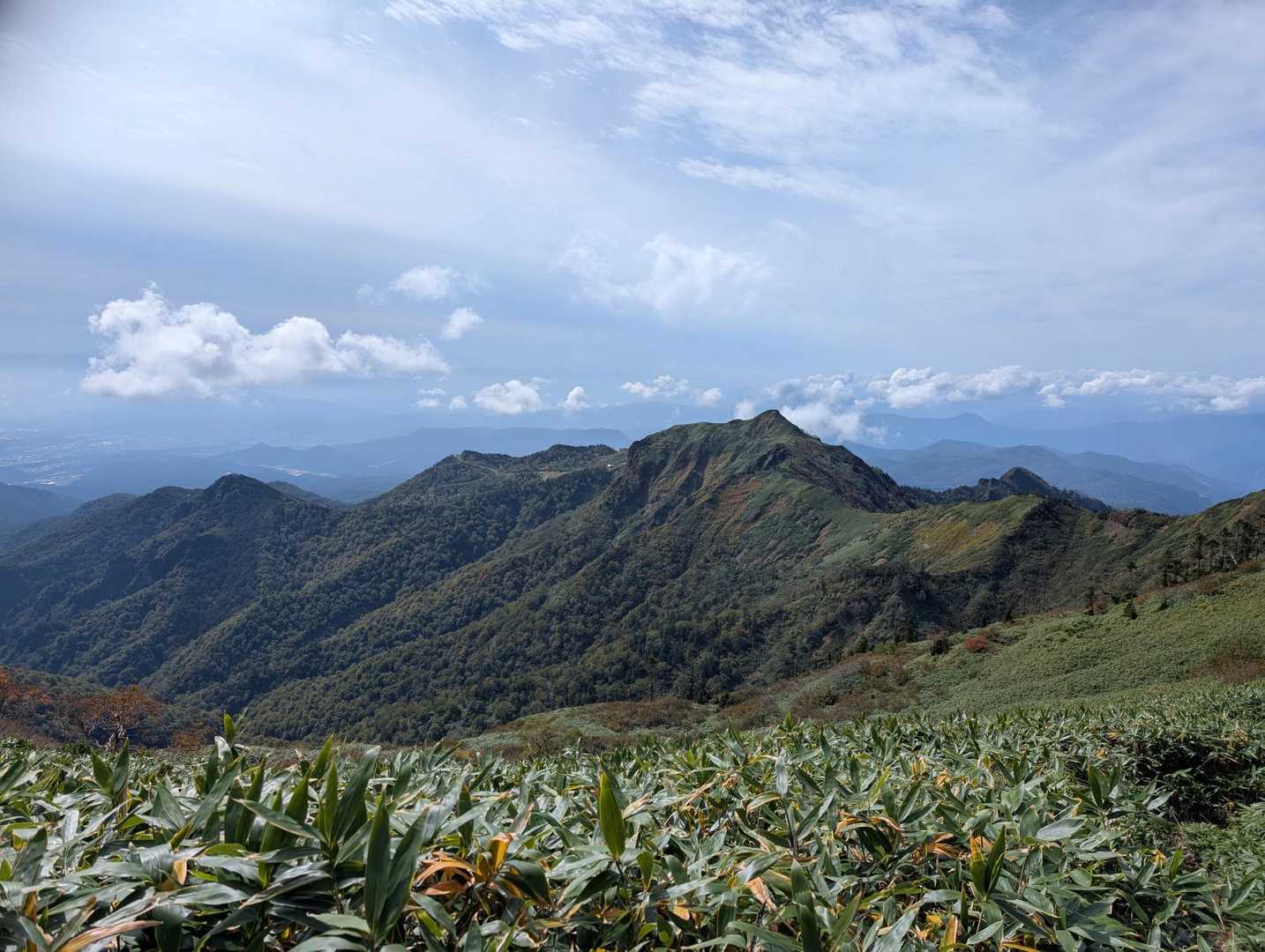 セビオス岳-武尊山 往復コースの写真