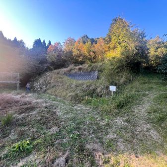 登山道に入ります。