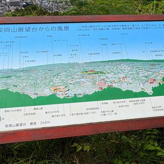 何が見えるかな🤭