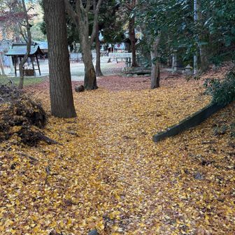 湯泉神社に出た