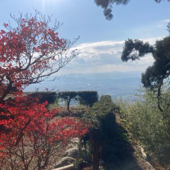 いい景色〜🎶。