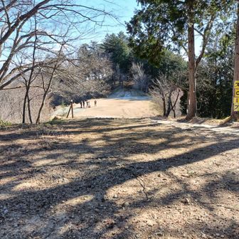 展望台へ向かう。