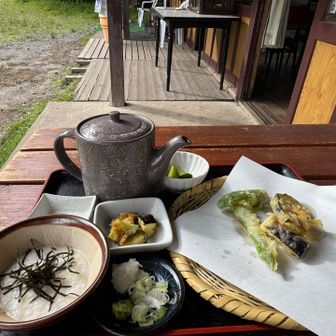 トロロ蕎麦（1100円）を注文すると無料で天ぷらが付いてくるというサービス。
小鉢の茄子がすごく美味しかったです