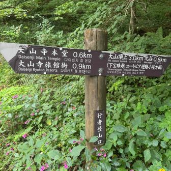 下山は行者登山道で
