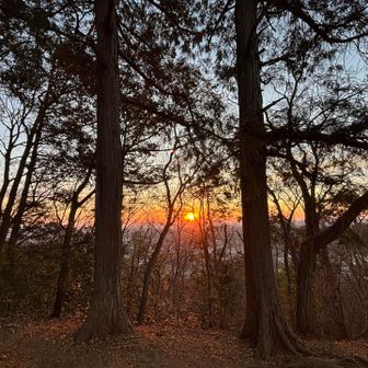 あー今日の画像
あした使いまわせば…
…ごほんごほん